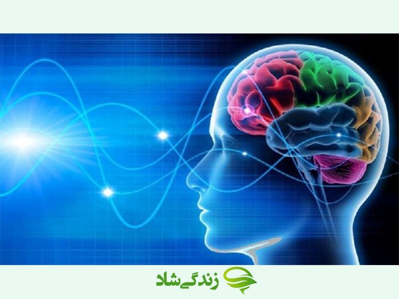آدرس کلینیک نوروفیدبک در مشهد| ارائه خدمات روانشناسی با30% تخفیف در مجهزترین مرکز نوروفیدبک در مشهد