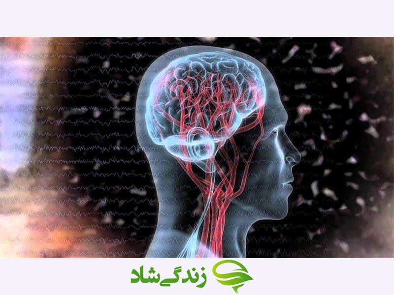 خدمات نوروفیدبک در مشهد| ارائه خدمات روانشناسی با40% تخفیف ویژه در مجهزترین مرکز نوروفیدبک مشهد